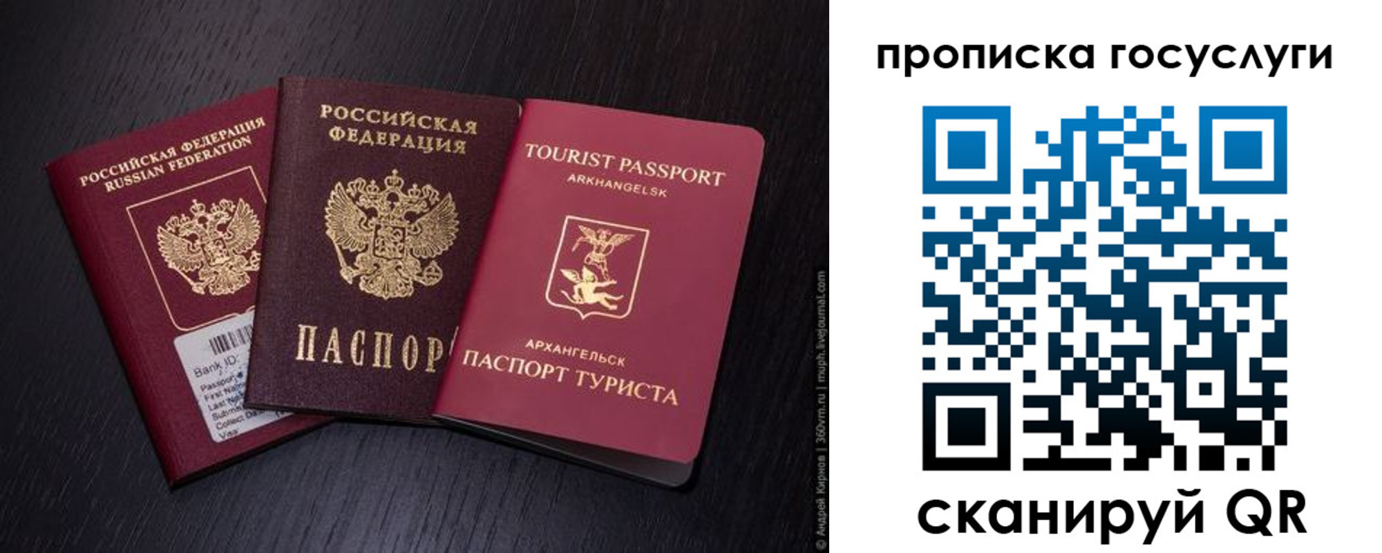 прописка 2025 в Касимове